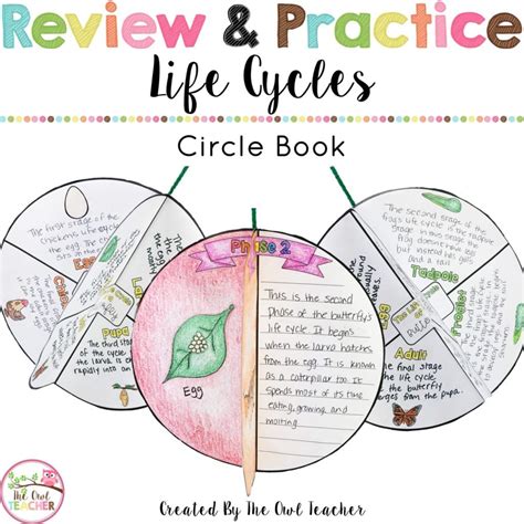 Life Cycles Circle Book Craftivity The Owl Teacher