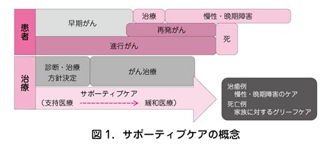 1．がんサポーティブケア 日本産婦人科医会