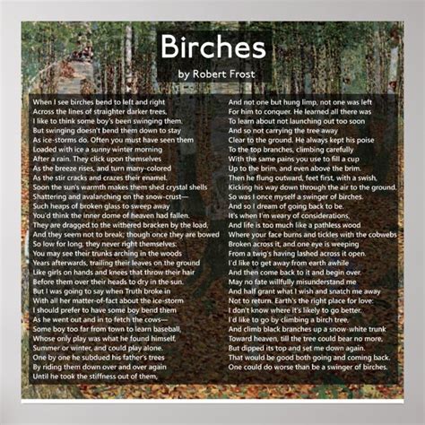 Birches By Robert Frost Complete Poembirkenwald Poster