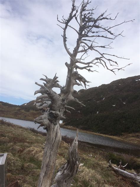 Gros Morne National Park, NFLD | Gros morne national park, National ...