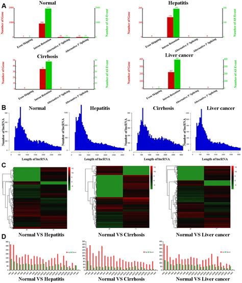 Serum Exosomal Long Noncoding Rnas Lnc Fam D And Lnc Epc As