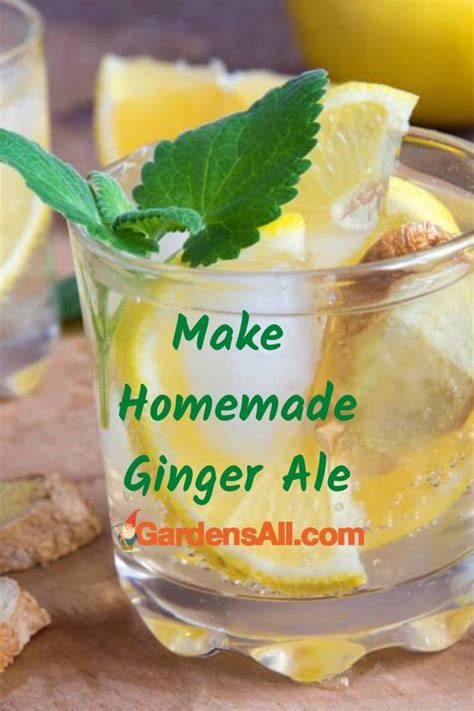 Homemade Ginger Ale With Real Ginger For Taste And Health GardensAll