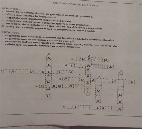 Crucigrama De La Celula Brainly Lat