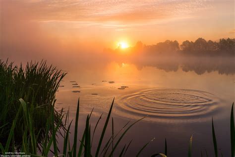 Tapeta na monitor Léto ráno jezero tráva svítání slunce