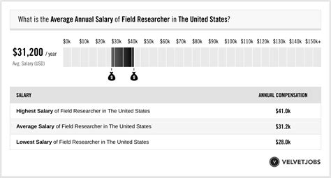 Field Researcher Salary (Actual 2025 | Projected 2026) | VelvetJobs