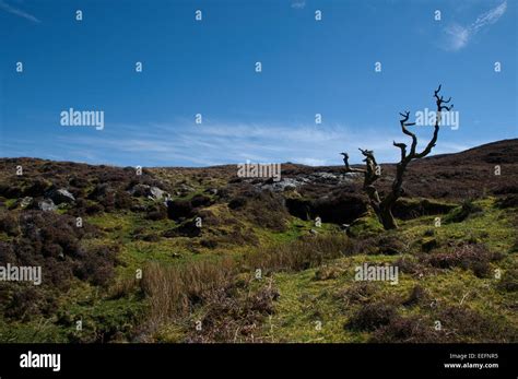 Isle of Skye, Inner Hebrides, Scotland Stock Photo - Alamy