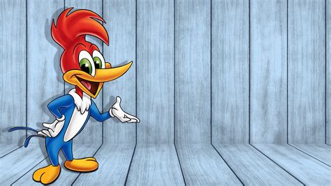 Woody Woodpecker Wallpapers 4k Hd Woody Woodpecker Backgrounds On