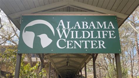 Our Center Alabama Wildlife Center