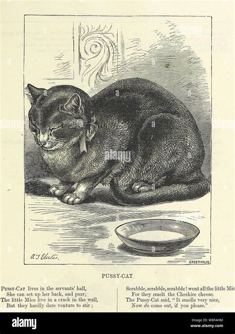 Sleeping Cat Vintage Pussy Cat Illustration Panel Stock Photo Alamy