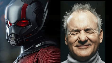 Bill Murray Confirma Participa O Em Homem Formiga E A Vespa Quantumania