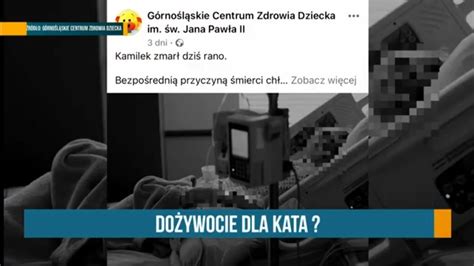 RAPORT DOŻYWOCIE DLA KATA KAMILKA CZEKI ROZDANE CIĘZARÓWKA NAJECHAŁA