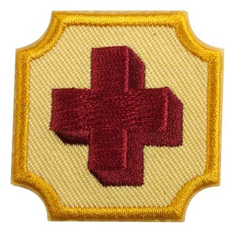 Ambassador First Aid Badge Girl Scout Wiki Fandom