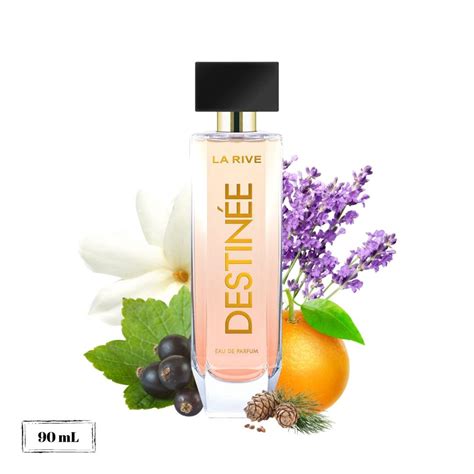 Perfume Feminino La Rive Destinee edp 90mL em Promoção Ofertas na