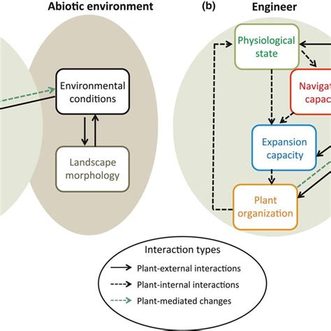 Schematic Representation Of How Ecosystem‐engineering Frameworks A