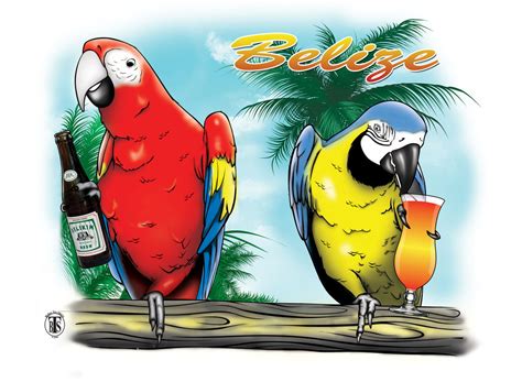 Belize Parrots by Shaddo-angel on DeviantArt