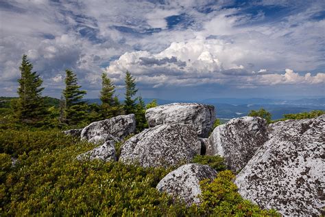 Dolly Sods Wilderness Stewards The Authority Of The Resource