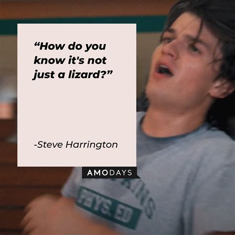 34 Steve Harrington Quotes to Remind Us Why We All Love Him in