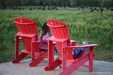 Discovering Wildlife At Elk Island National Park In Alberta World