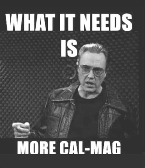 65 Best U My Mexican Cousin Images On Pholder Gardening Hot Peppers And Druggardening