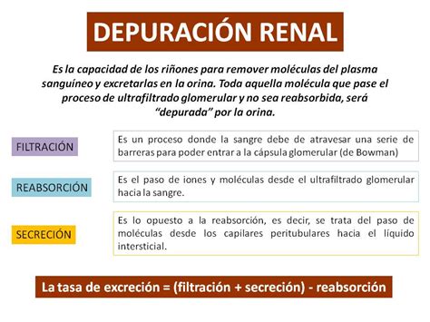 FISIOLOGÍA HUMANA Depuración o aclaramiento renal