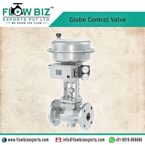 Globe Control Valve