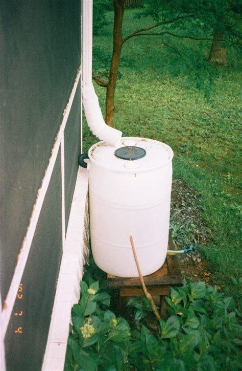 10 DIY Rain Barrels You Should Not Miss