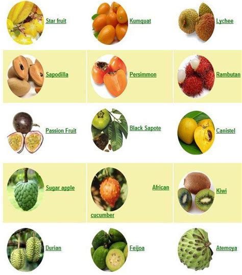 These exotic fruits can have major health and healing benefits (Part 1 ...