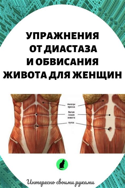 Упражнения от диастаза и обвисания живота для женщин. Здоровье и ...