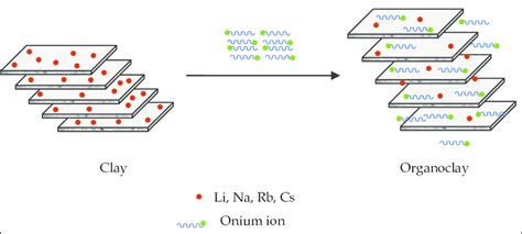 Scheme of the modification of clay layers by organic onium cations ...