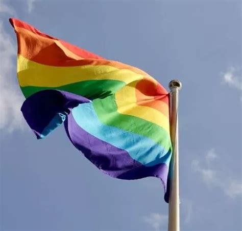 History Of The Gay Pride Rainbow Flag Verticalmserl