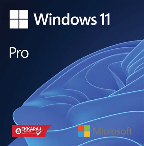 Windows 11 Pro HAV 00163 MS WIN PRO 11 64BIT ENG INTL USB FPP