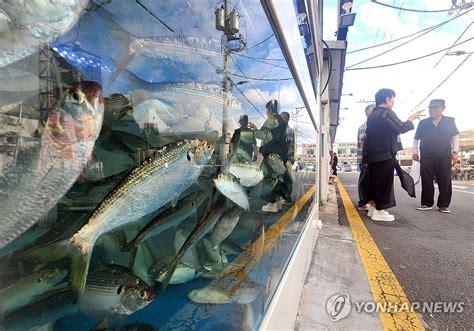 부산 명지시장 전어축제 개막 연합뉴스