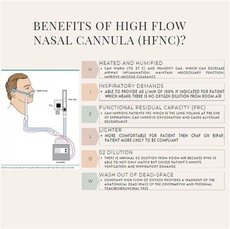 Benefits Of High Flow Nasal Cannula Hfnc Nursing Education