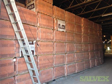 Pica Clay Bricks Salvex