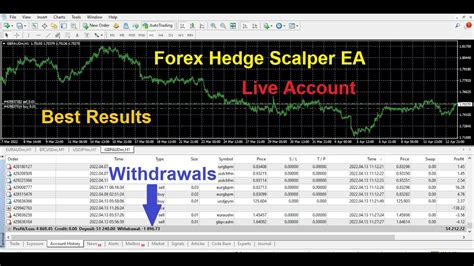 Forex Hedging Robot Forex Scalping Robot Forex Hedge Scalper EA