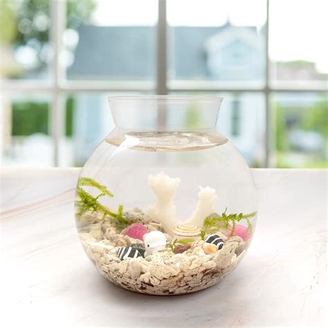 Betta Fish Bowl Diy