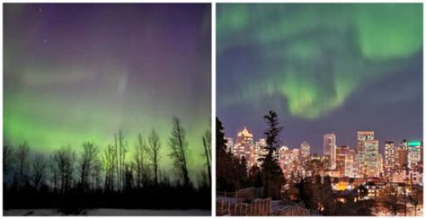 Northern lights put on an incredible show across Alberta last night ...