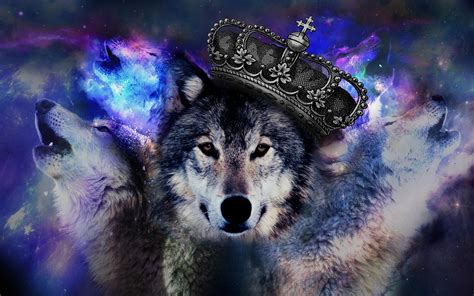 Trippy Wolf Wallpapers - Top Free Trippy Wolf Backgrounds - WallpaperAccess