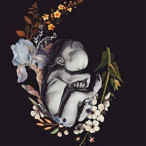 Pin By Guadalupe Ramírez On Anatomía Floral Birth Art Pregnancy Art Doula Art