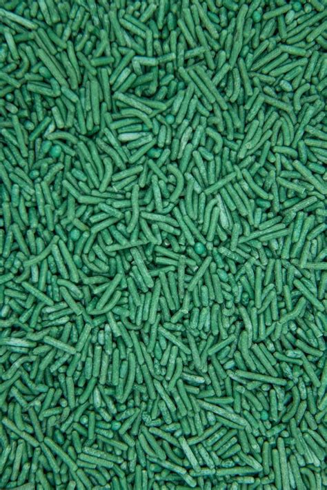 Dark Green Sprinkles Shop Forest Green Jimmies Sprinkles Bulk