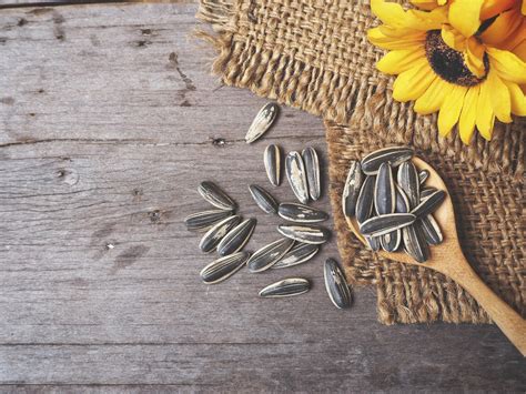 Sunflower Seeds And Its Health Benefits Healthifyme