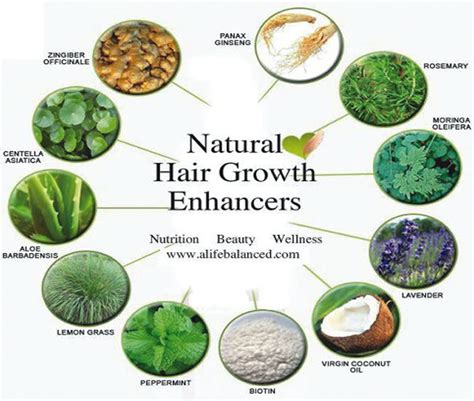 Natural Herbs For Healthy Hair Tribune Online