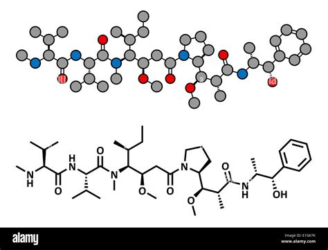 Monomethyl Auristatin E Mmae Vedotin The Cytotoxic Payload Of