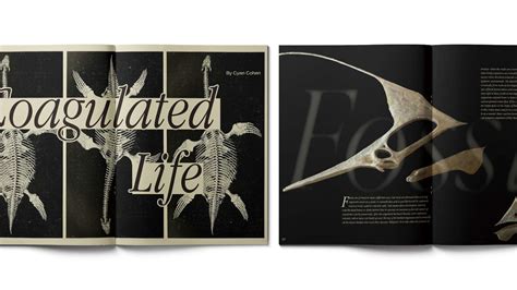 Magazine Design By Yuanduo Wang Sva Design