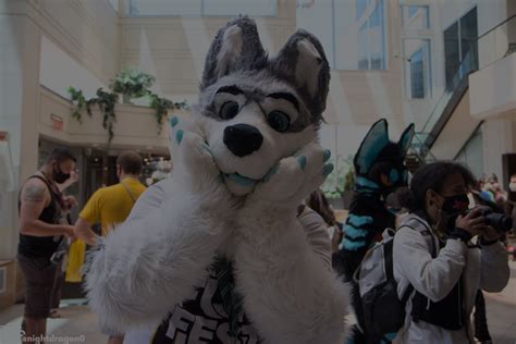 Anthrocon 2023: Updates for Registration, Dealers, Programming ...