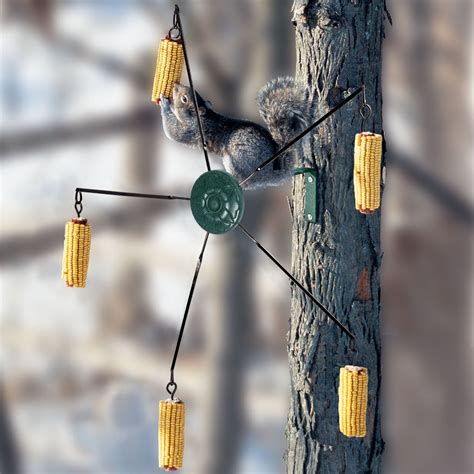 Squirrel Feeders