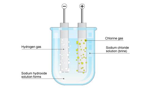 Electrolysis Of Sodium Chloride Koltonabbwyatt