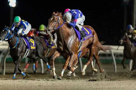 2023年ホッカイドウ競馬！11月8日メインは「第18回道営スプリント」（h1）！ なまらふるやっち｜地方競馬の魅力を楽天競馬スペシャル