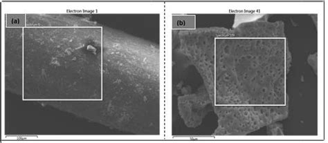 Sem Micrograph Of A Unmodified Rice Husk And B Modified Rice Husk