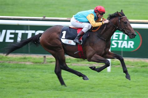 Kobold In Der Pole Position Deutscher Galopp